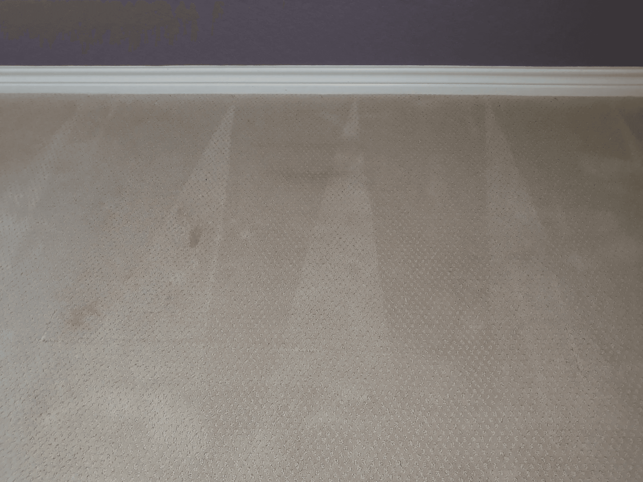 Wrinkled Carpet Restored before